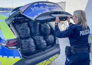 Policjantka zamyka bagażnik radiowozu wypełniony workami z  nakrętkami