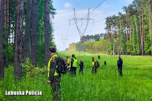 służby ratownicze na skraju lasu