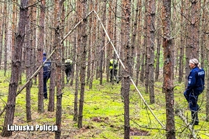 policjanci i strażacy w trakcie sprawdzania lasu