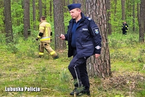 policjant w trakcie sprawdzania  lasu