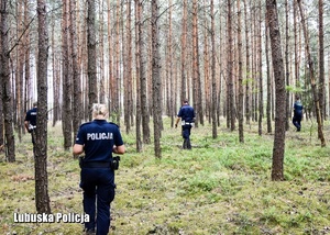 policjanci w trakcie sprawdzania lasu