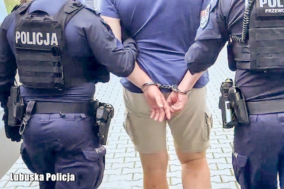 Kryminalni zatrzymali mężczyznę podejrzanego o włamanie i kradzieże