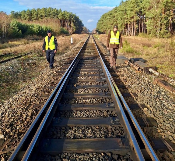 Zwiększone patrole w lasach i przy torach. Policja i Straż Leśna w operacji „TOR”